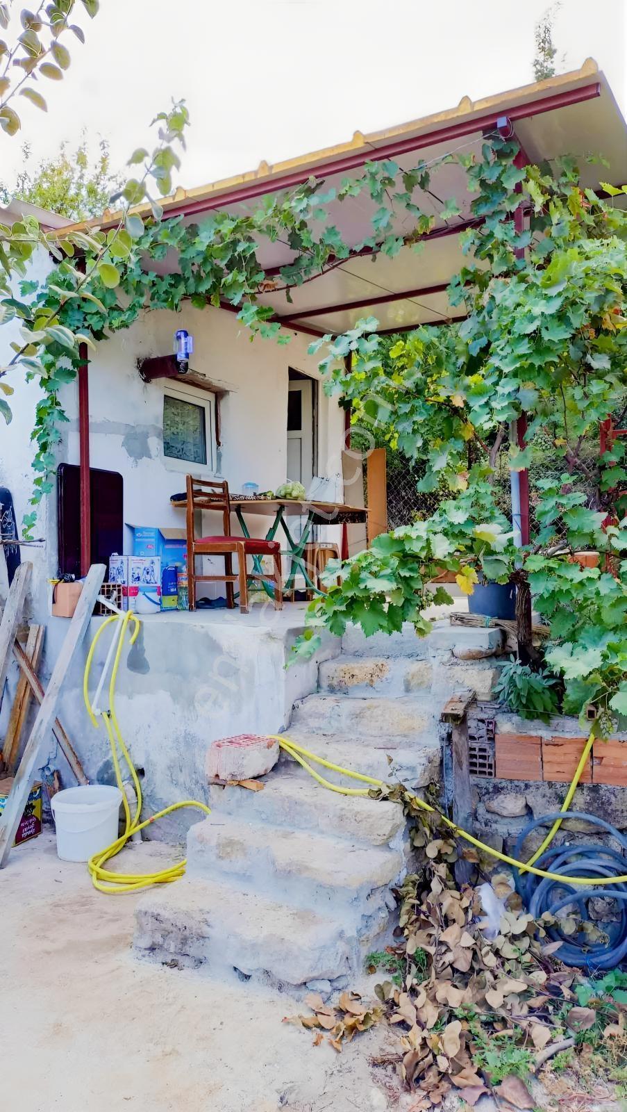 Elektrik Su Problemi Olmayan Kayıtlı Bağ Evi Ve Çiftlik Arzisi — fotoğraf 12