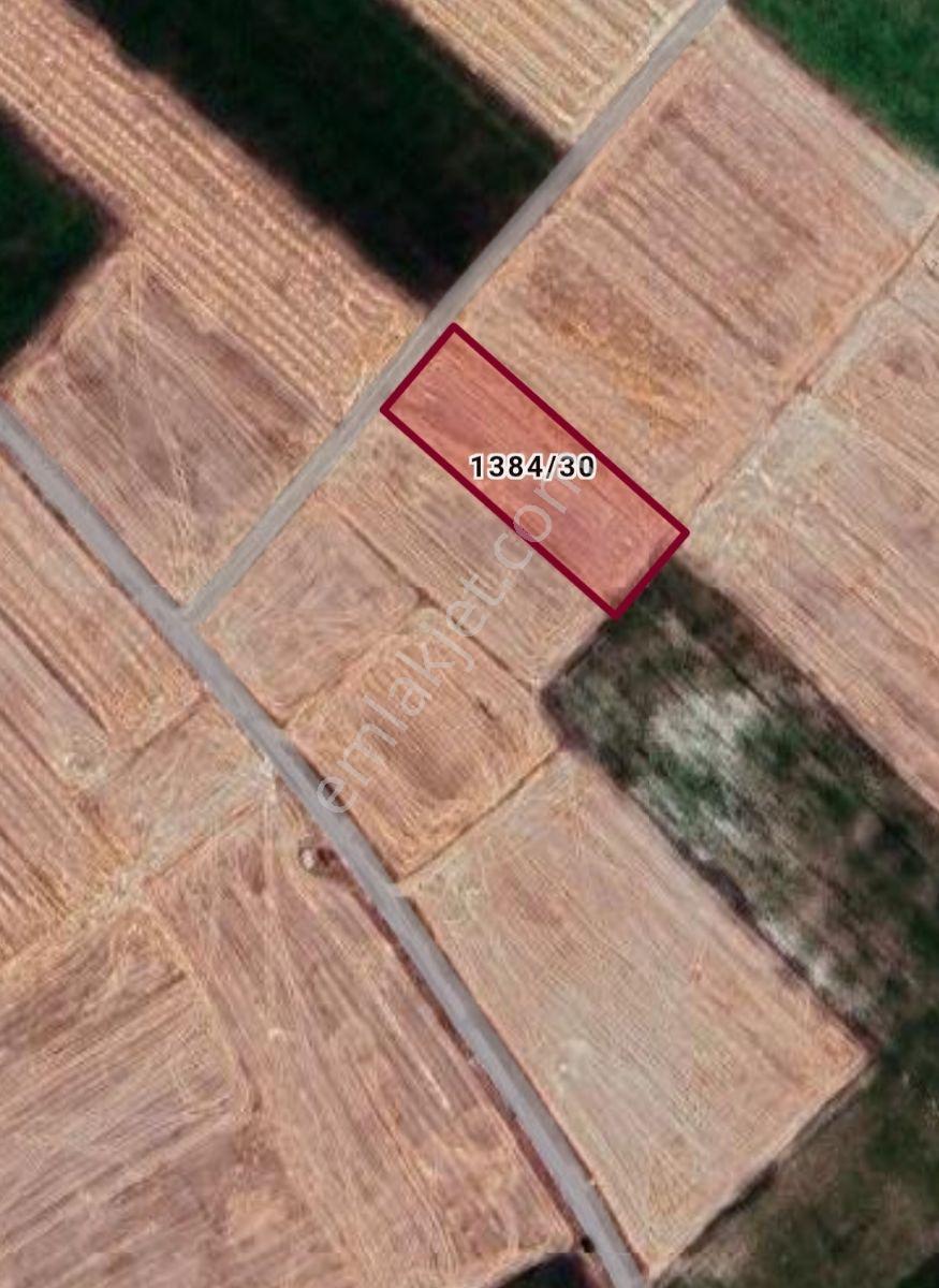 Bünyan Akmescitte 4324 M2 Satılık Tarla — fotoğraf 2