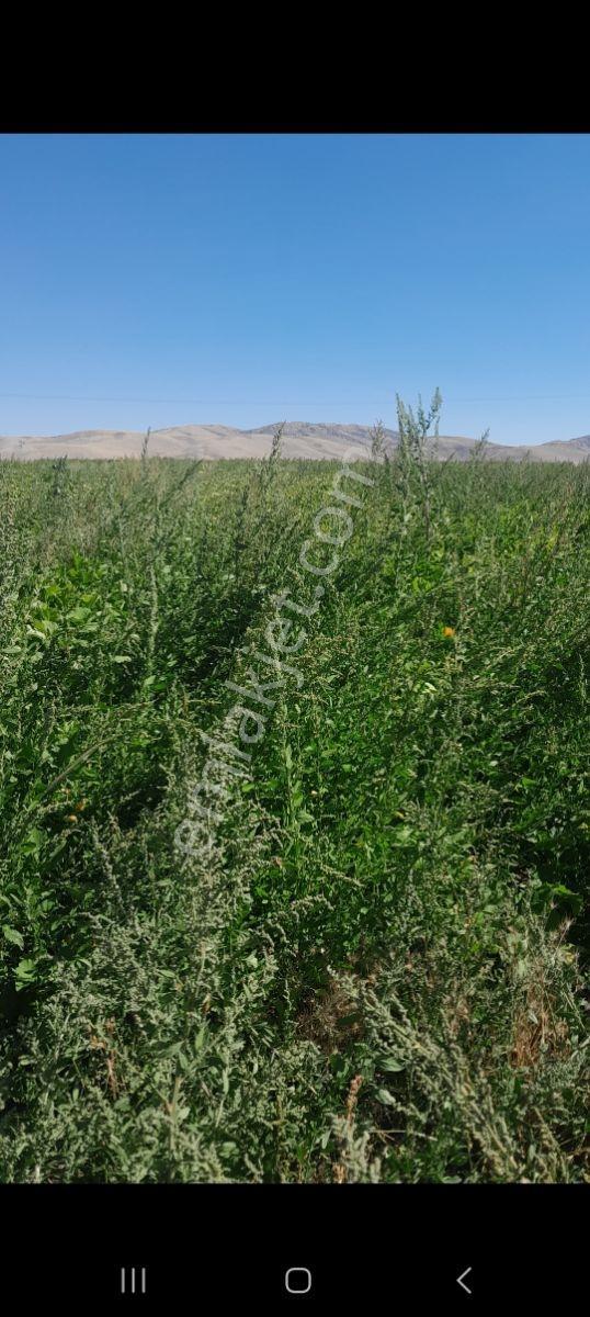 Bünyan Akmescitte 4324 M2 Satılık Tarla — fotoğraf 5