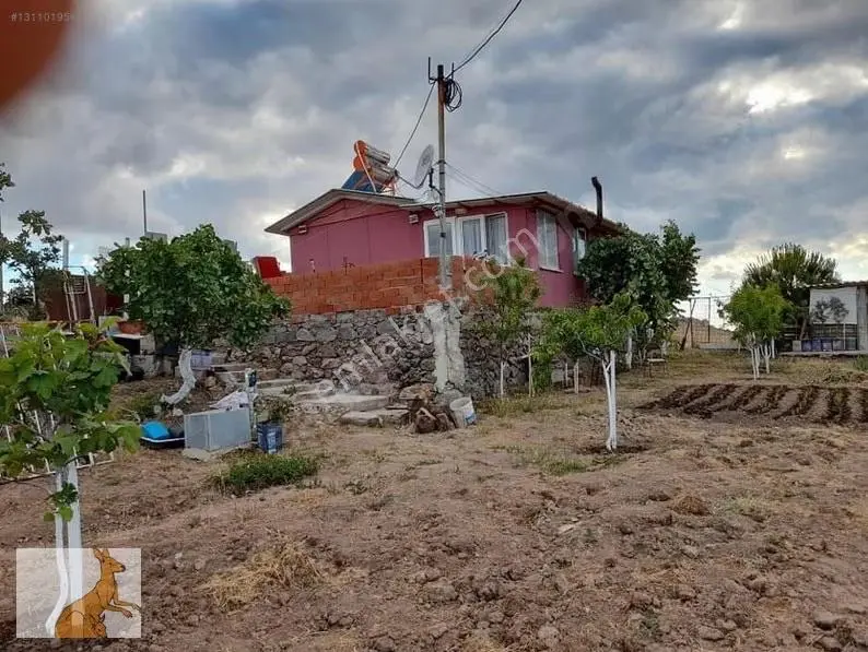 Yunusemre Karaveli Mh Fırsat Satılık 1000 M2 Tarla Ve 2+1 Ev