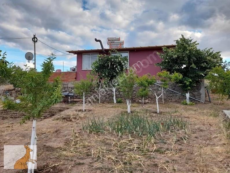 Yunusemre Karaveli Mh Fırsat Satılık 1000 M2 Tarla Ve 2+1 Ev — fotoğraf 2