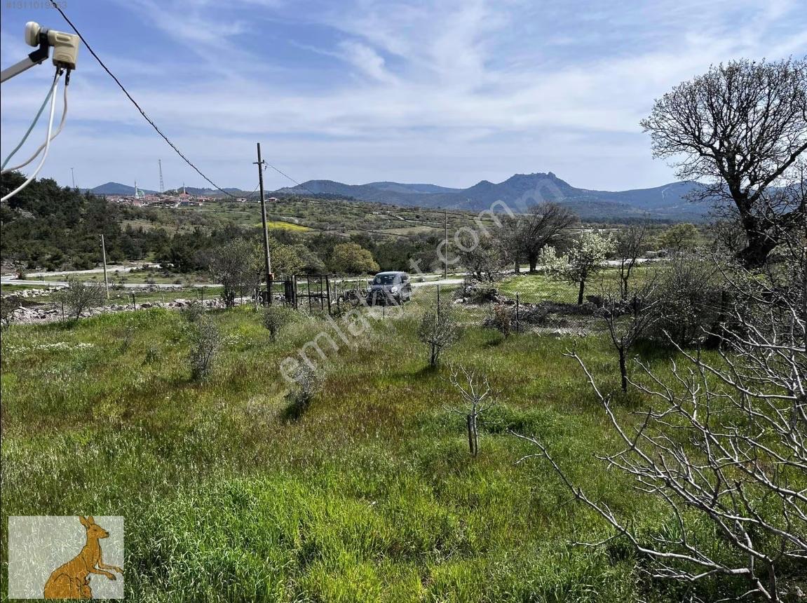 Yunusemre Karaveli Mh Fırsat Satılık 1000 M2 Tarla Ve 2+1 Ev — fotoğraf 6