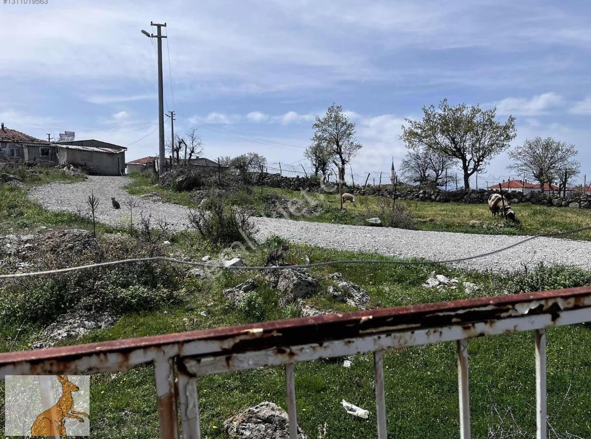 Yunusemre Karaveli Mh Fırsat Satılık 1000 M2 Tarla Ve 2+1 Ev — fotoğraf 7