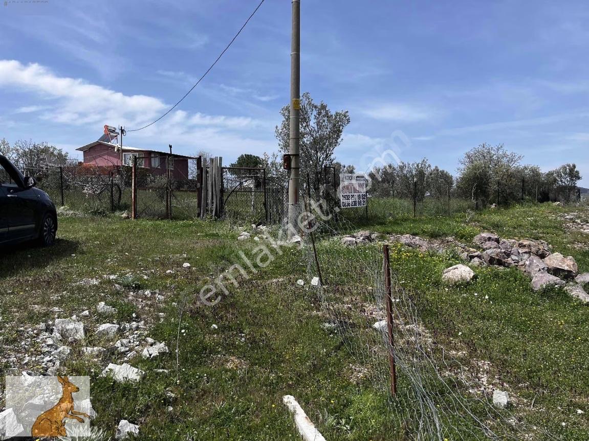 Yunusemre Karaveli Mh Fırsat Satılık 1000 M2 Tarla Ve 2+1 Ev — fotoğraf 12