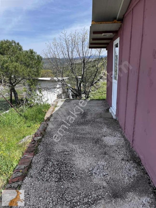 Yunusemre Karaveli Mh Fırsat Satılık 1000 M2 Tarla Ve 2+1 Ev — fotoğraf 13