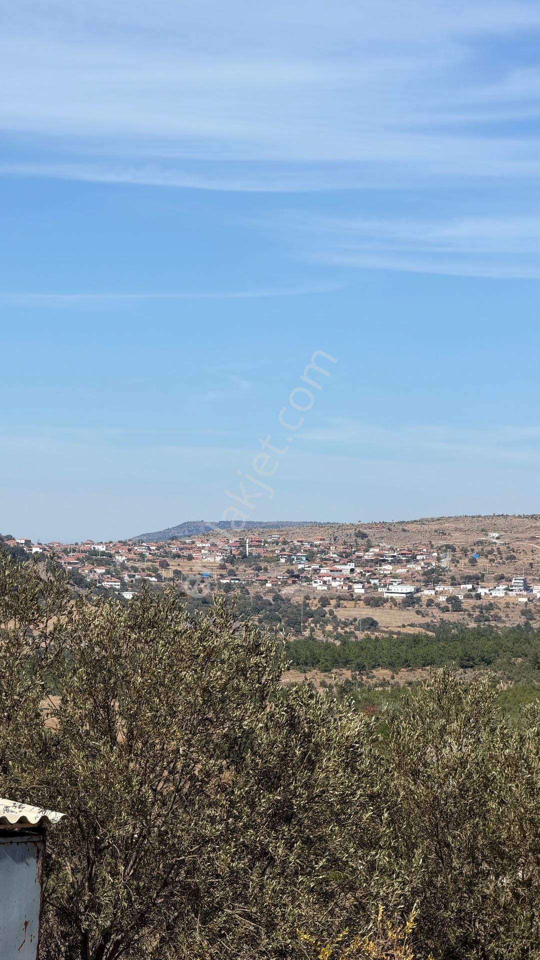 Yunusemre Karaveli Mh Fırsat Satılık 1000 M2 Tarla Ve 2+1 Ev — fotoğraf 14