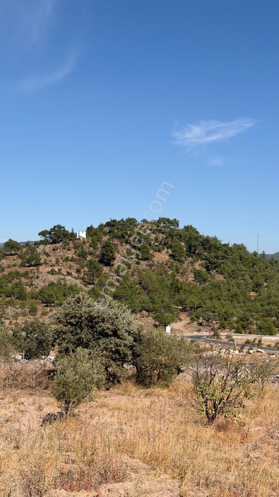 Yunusemre Karaveli Mh Fırsat Satılık 1000 M2 Tarla Ve 2+1 Ev — fotoğraf 16