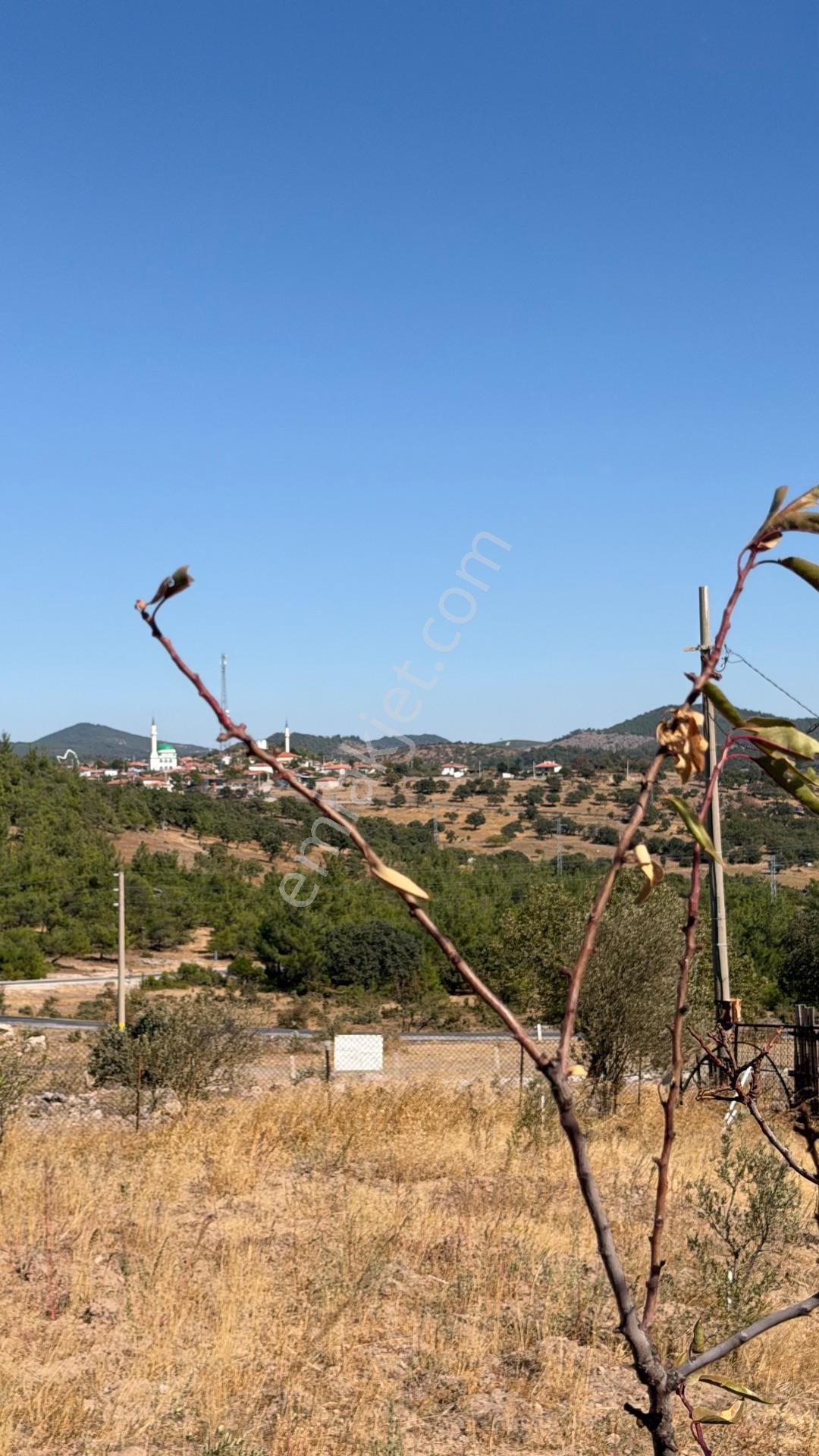 Yunusemre Karaveli Mh Fırsat Satılık 1000 M2 Tarla Ve 2+1 Ev — fotoğraf 18