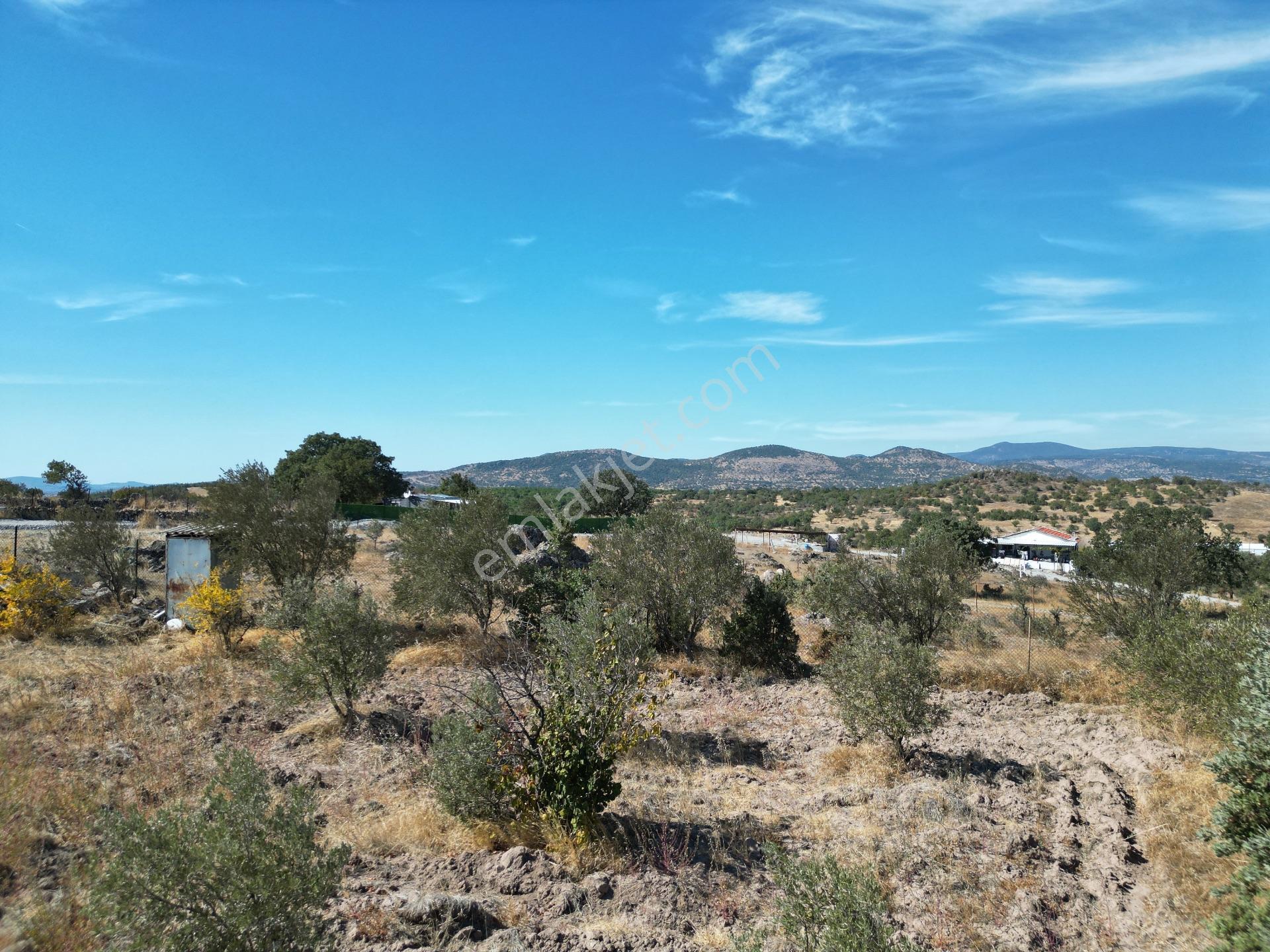 Yunusemre Karaveli Mh Fırsat Satılık 1000 M2 Tarla Ve 2+1 Ev — fotoğraf 24