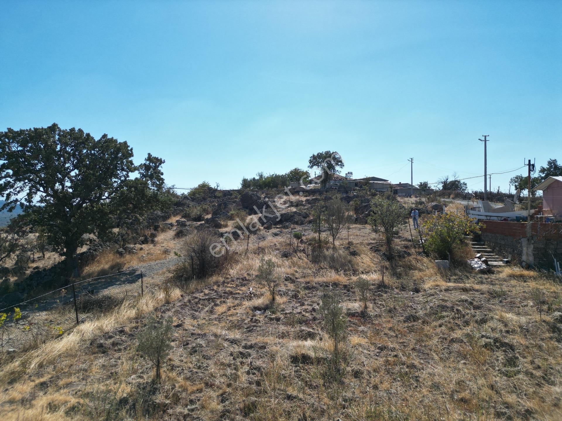 Yunusemre Karaveli Mh Fırsat Satılık 1000 M2 Tarla Ve 2+1 Ev — fotoğraf 28