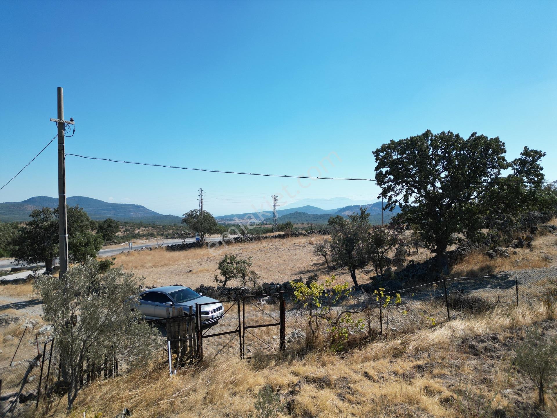 Yunusemre Karaveli Mh Fırsat Satılık 1000 M2 Tarla Ve 2+1 Ev — fotoğraf 29