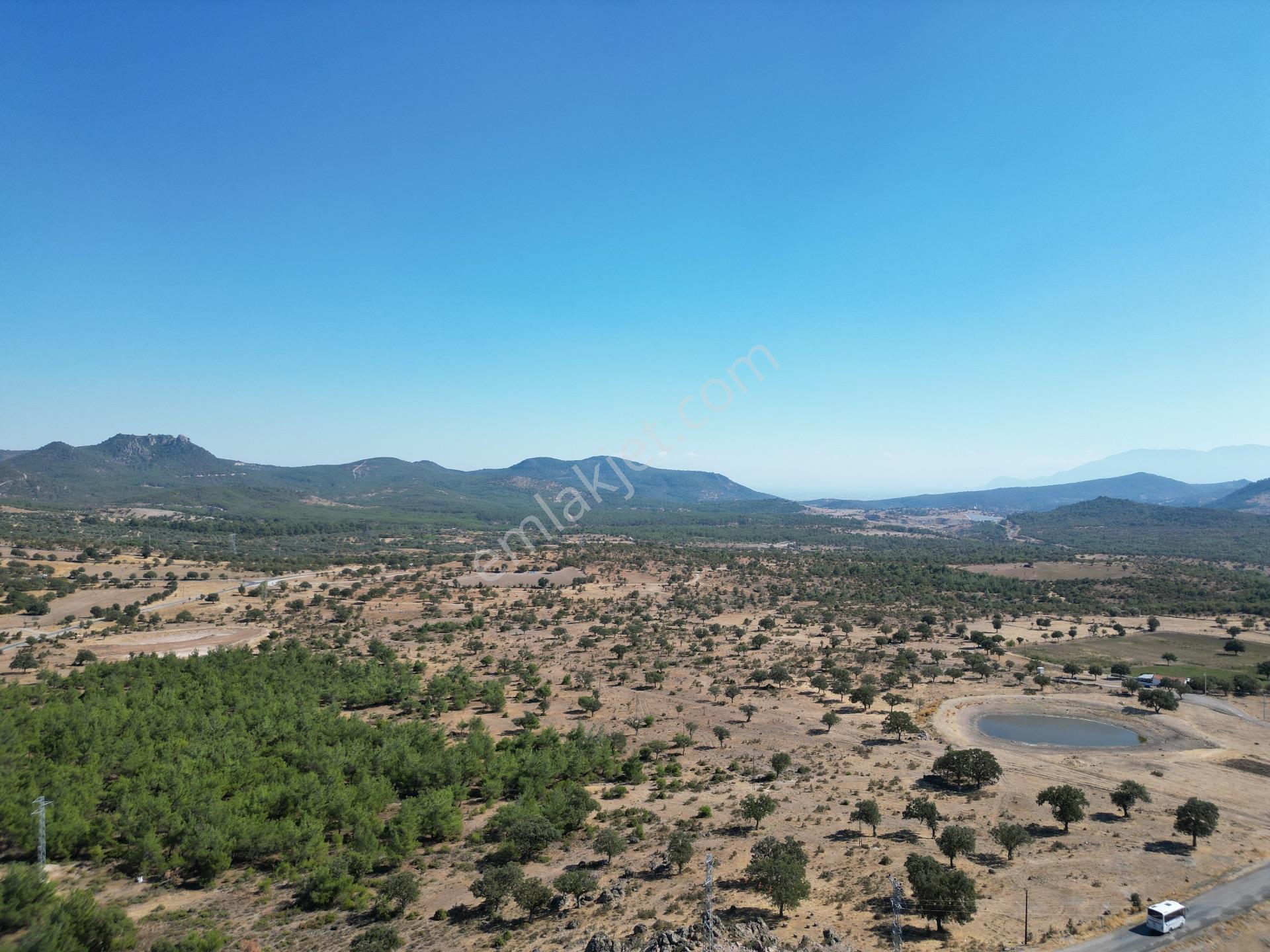 Yunusemre Karaveli Mh Fırsat Satılık 1000 M2 Tarla Ve 2+1 Ev — fotoğraf 31