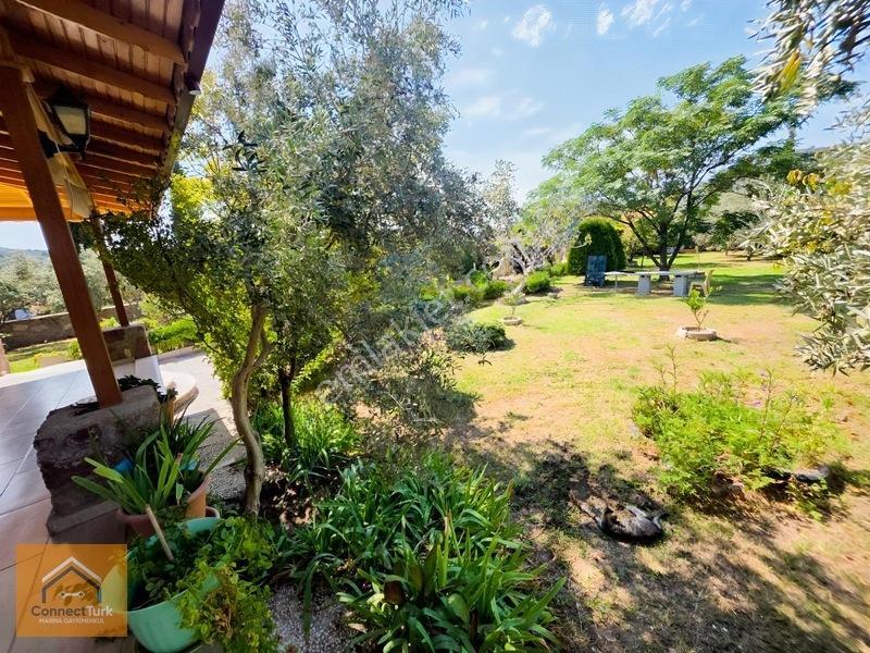 Dikili Bademlide Doğayla İç İçe, Deniz Manzaralı Taş Villa — fotoğraf 6