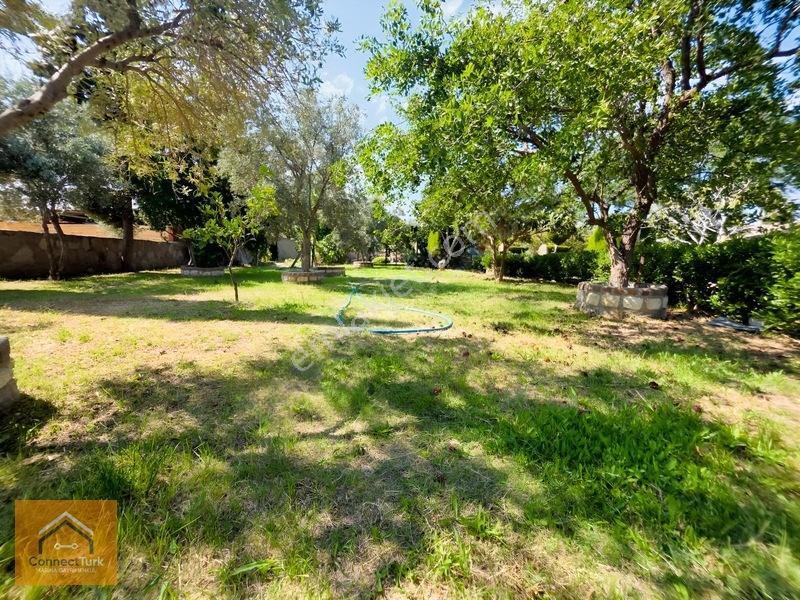 Dikili Bademlide Doğayla İç İçe, Deniz Manzaralı Taş Villa — fotoğraf 10