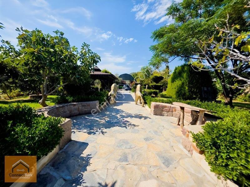 Dikili Bademlide Doğayla İç İçe, Deniz Manzaralı Taş Villa — fotoğraf 11