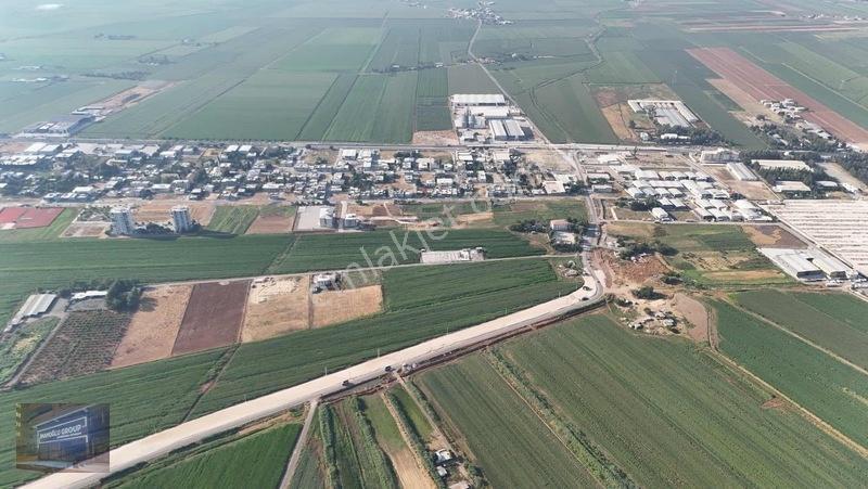 Mardin Yolu Ve Göbeklitepe Turizm Yolunda İmara Sıfır Tarla