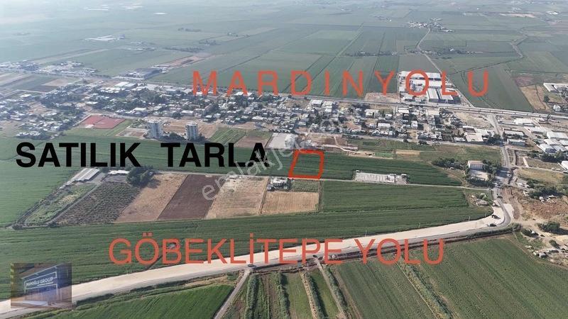 Mardin Yolu Ve Göbeklitepe Turizm Yolunda İmara Sıfır Tarla — fotoğraf 2