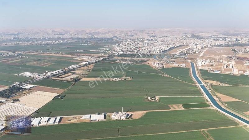 Mardin Yolu Ve Göbeklitepe Turizm Yolunda İmara Sıfır Tarla — fotoğraf 5