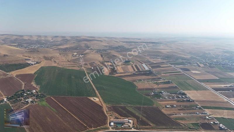 Mardin Yolu Ve Göbeklitepe Turizm Yolunda İmara Sıfır Tarla — fotoğraf 9