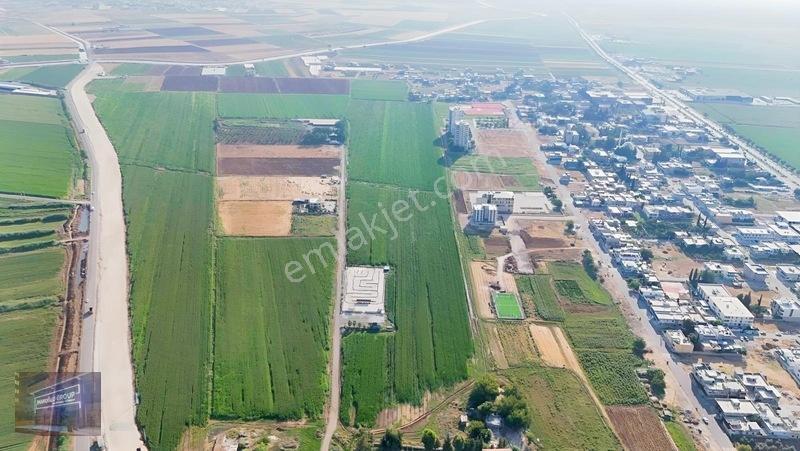 Mardin Yolu Ve Göbeklitepe Turizm Yolunda İmara Sıfır Tarla — fotoğraf 11