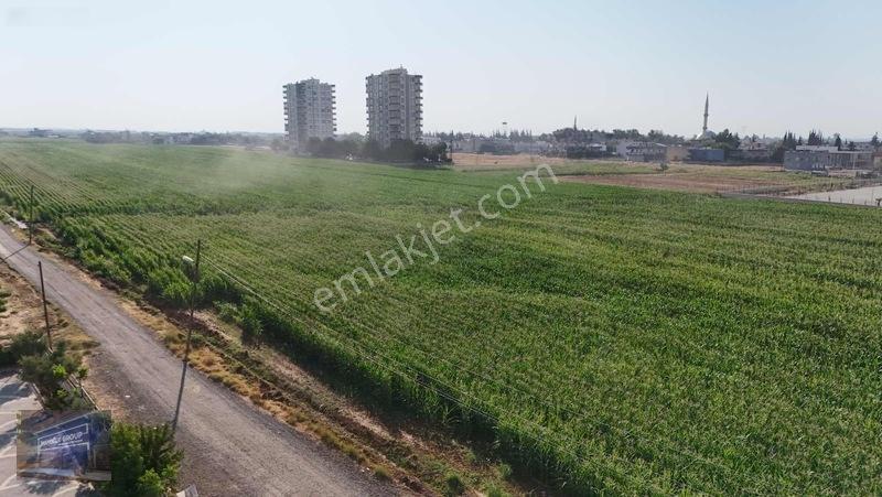 Mardin Yolu Ve Göbeklitepe Turizm Yolunda İmara Sıfır Tarla — fotoğraf 14