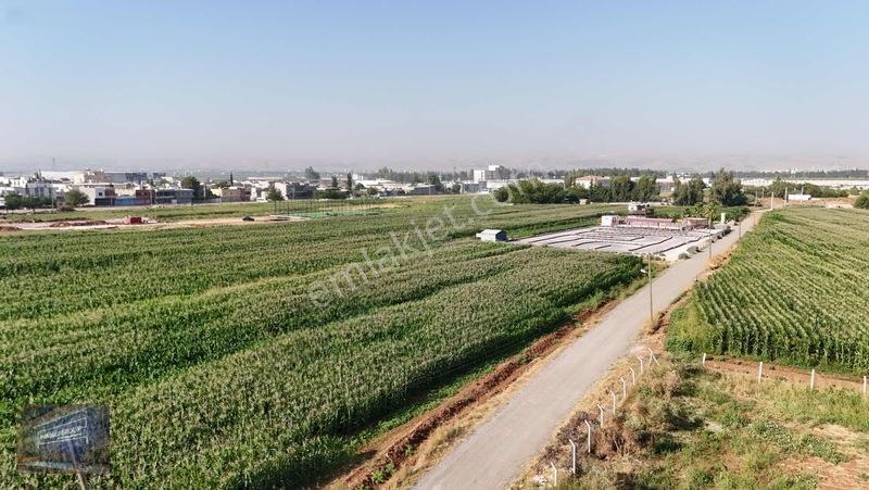 Mardin Yolu Ve Göbeklitepe Turizm Yolunda İmara Sıfır Tarla — fotoğraf 15