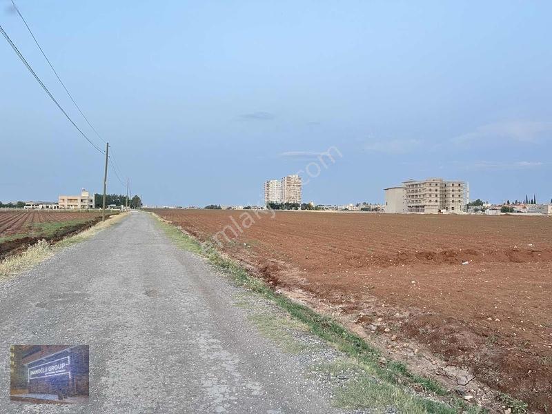 Mardin Yolu Ve Göbeklitepe Turizm Yolunda İmara Sıfır Tarla — fotoğraf 19