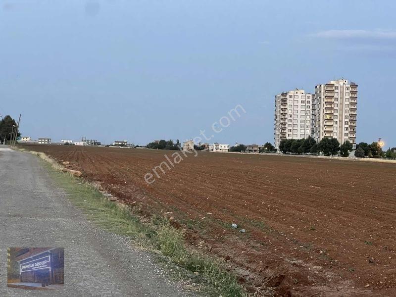 Mardin Yolu Ve Göbeklitepe Turizm Yolunda İmara Sıfır Tarla — fotoğraf 20