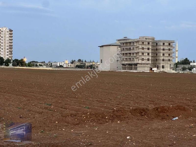 Mardin Yolu Ve Göbeklitepe Turizm Yolunda İmara Sıfır Tarla — fotoğraf 21