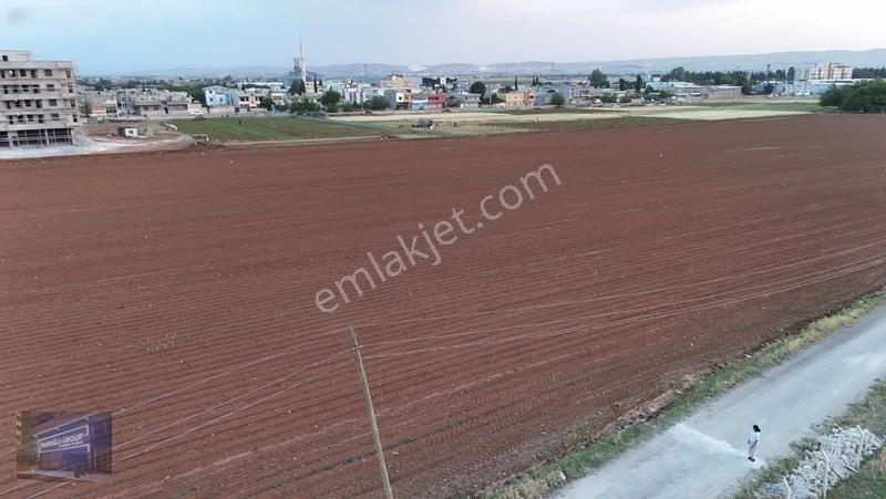 Mardin Yolu Ve Göbeklitepe Turizm Yolunda İmara Sıfır Tarla — fotoğraf 26