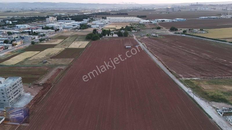 Mardin Yolu Ve Göbeklitepe Turizm Yolunda İmara Sıfır Tarla — fotoğraf 27