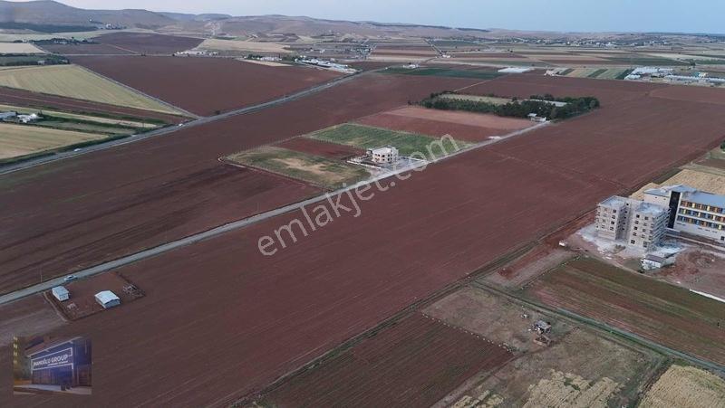 Mardin Yolu Ve Göbeklitepe Turizm Yolunda İmara Sıfır Tarla — fotoğraf 29