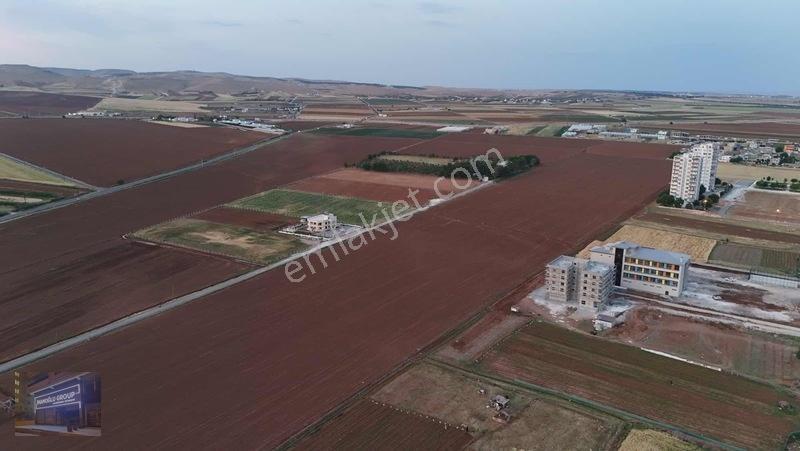 Mardin Yolu Ve Göbeklitepe Turizm Yolunda İmara Sıfır Tarla — fotoğraf 30