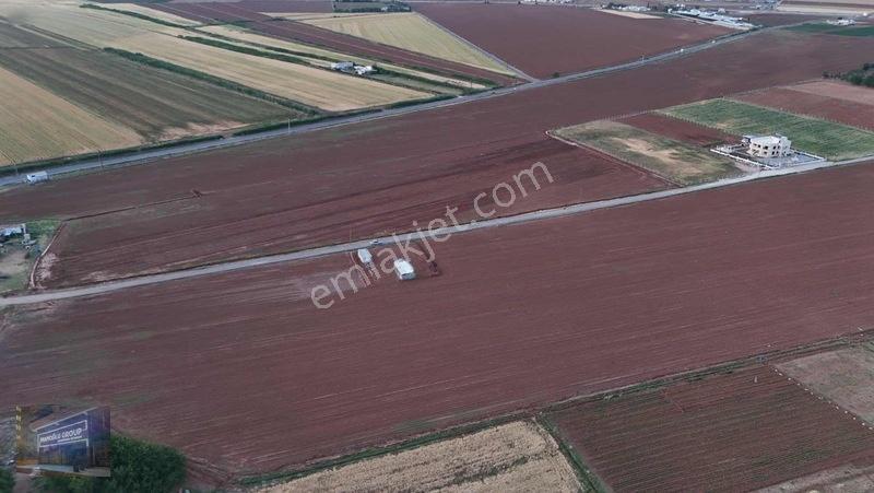 Mardin Yolu Ve Göbeklitepe Turizm Yolunda İmara Sıfır Tarla — fotoğraf 32