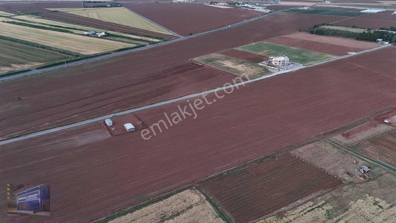 Mardin Yolu Ve Göbeklitepe Turizm Yolunda İmara Sıfır Tarla — fotoğraf 33