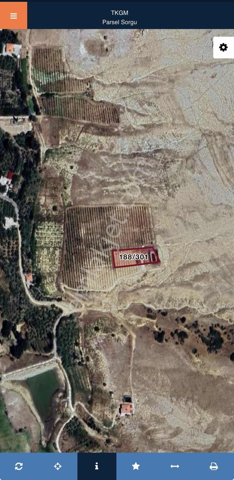Niğde Değirmenlide Evli Havuzlu 2.070 M² Elma Bahçesi