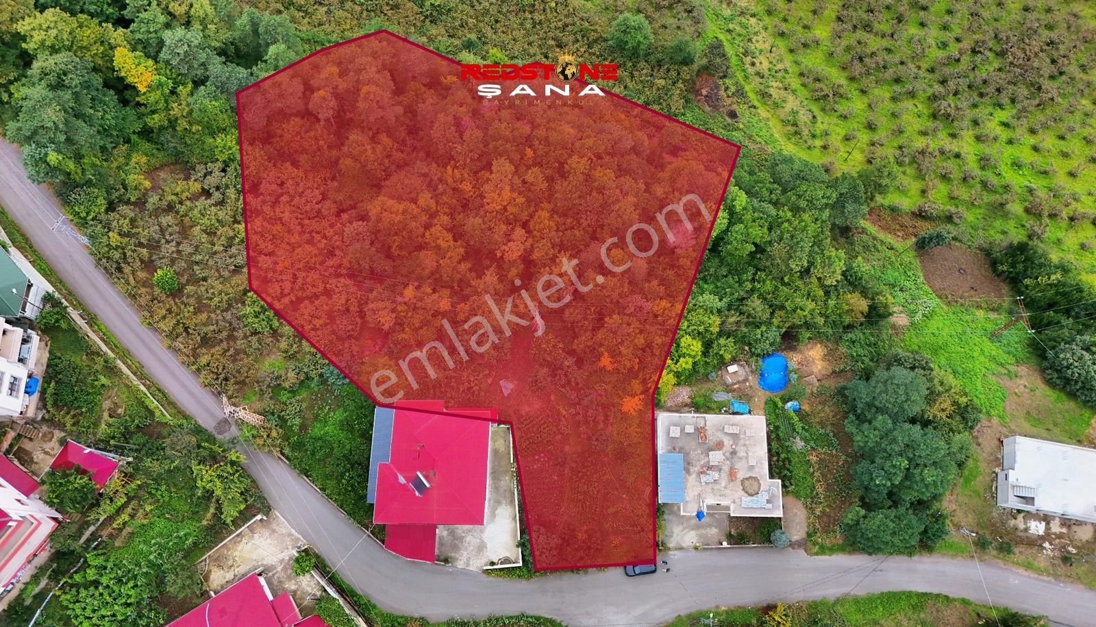 Akçaabat Yeniköy Yola Cepheli 2856 M2 Deniz Ve Doğa Manz. Arsa — fotoğraf 2