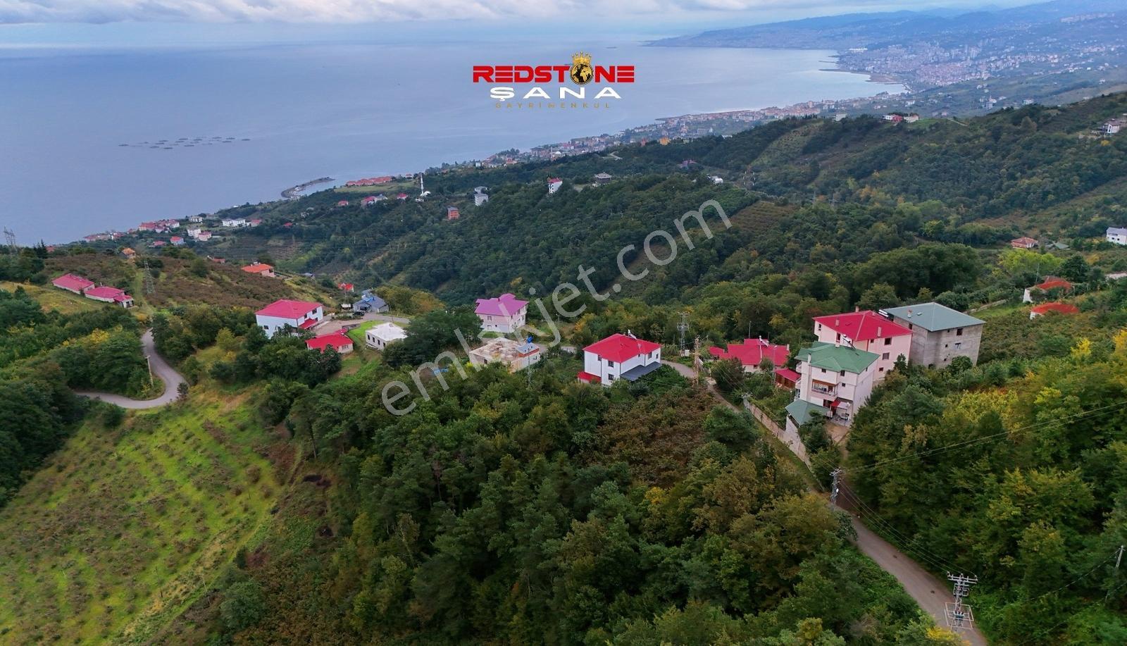 Akçaabat Yeniköy Yola Cepheli 2856 M2 Deniz Ve Doğa Manz. Arsa — fotoğraf 9
