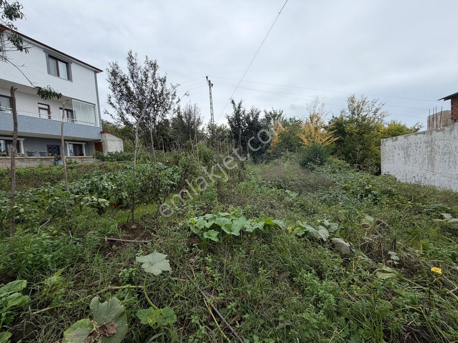 Akçaabat Yeniköy Yola Cepheli 2856 M2 Deniz Ve Doğa Manz. Arsa — fotoğraf 10