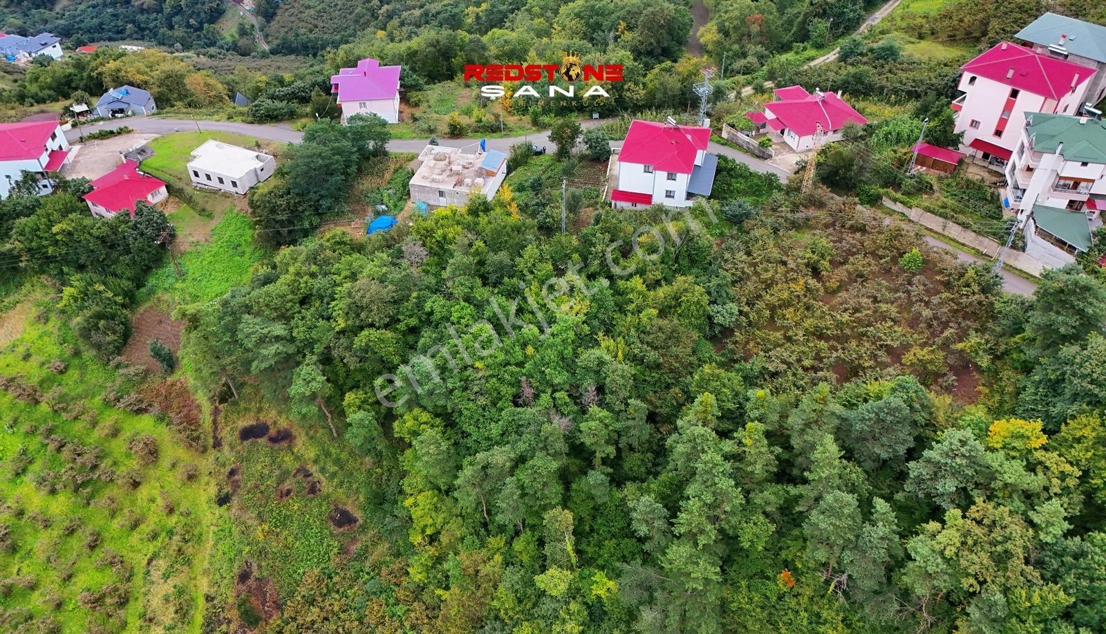 Akçaabat Yeniköy Yola Cepheli 2856 M2 Deniz Ve Doğa Manz. Arsa — fotoğraf 11