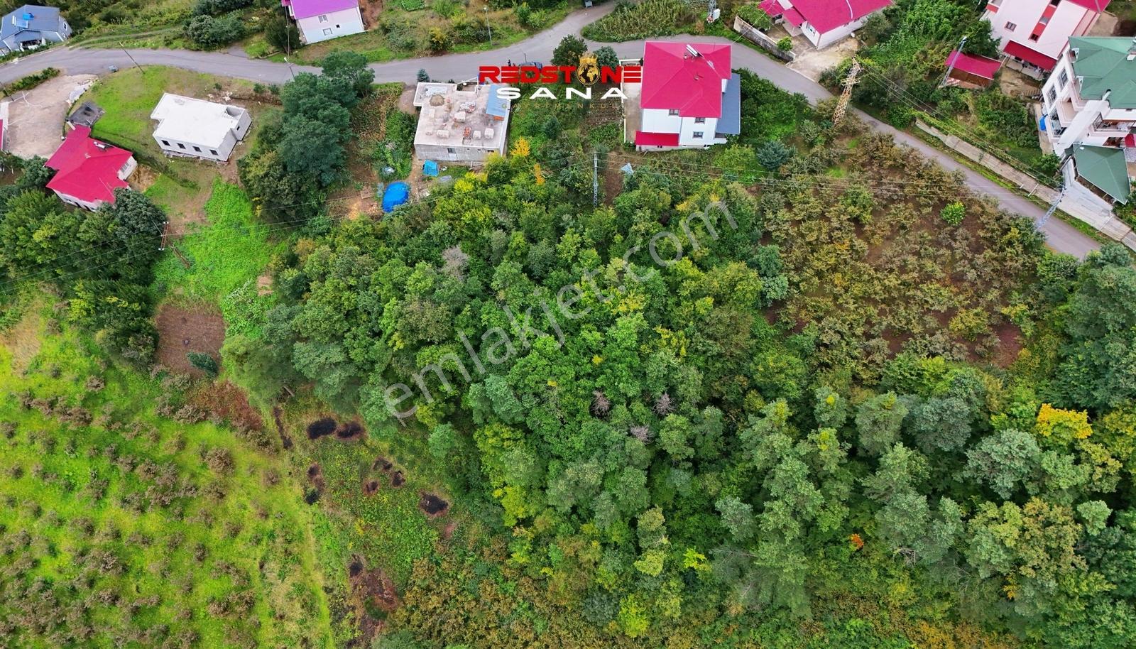 Akçaabat Yeniköy Yola Cepheli 2856 M2 Deniz Ve Doğa Manz. Arsa — fotoğraf 13