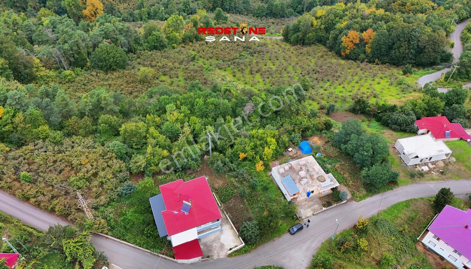 Akçaabat Yeniköy Yola Cepheli 2856 M2 Deniz Ve Doğa Manz. Arsa — fotoğraf 15