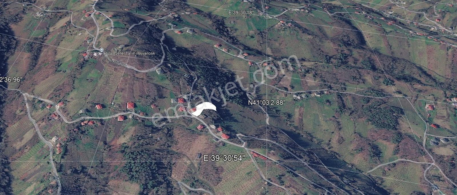 Akçaabat Yeniköy Yola Cepheli 2856 M2 Deniz Ve Doğa Manz. Arsa — fotoğraf 29