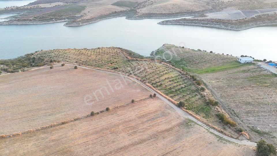 Tc Emlaktan Satılık 23 Dönüm Baraj Cephe Zeytinlik ! Elektirk Su ! — fotoğraf 17