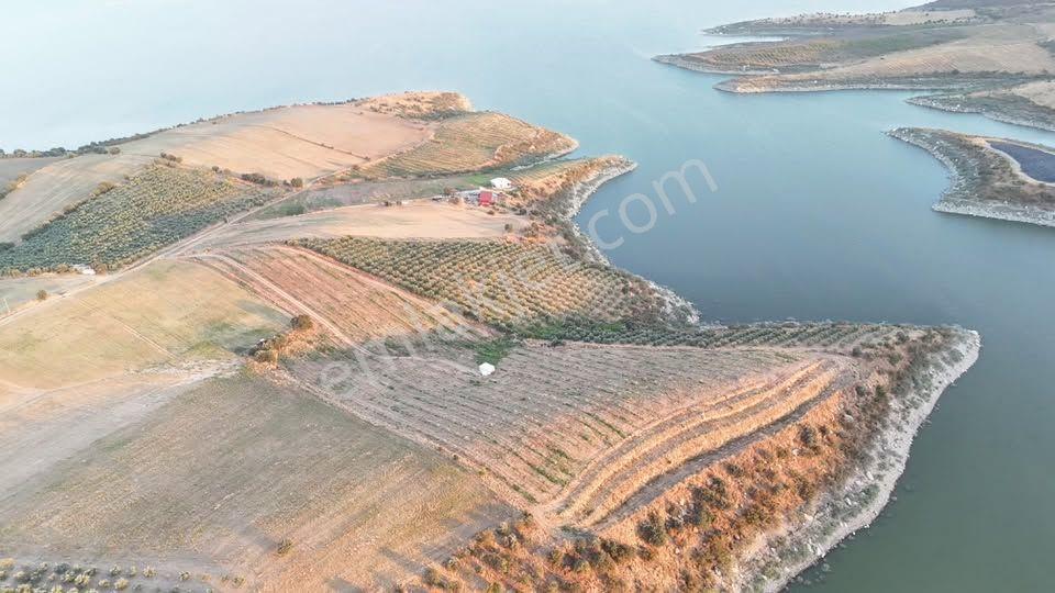 Tc Emlaktan Satılık 23 Dönüm Baraj Cephe Zeytinlik ! Elektirk Su ! — fotoğraf 22