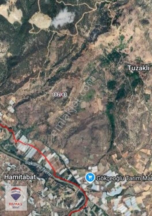 Remax Mavi Bilecik Söğüt Tuzaklı Da 3132 M2 Satılık Tarla