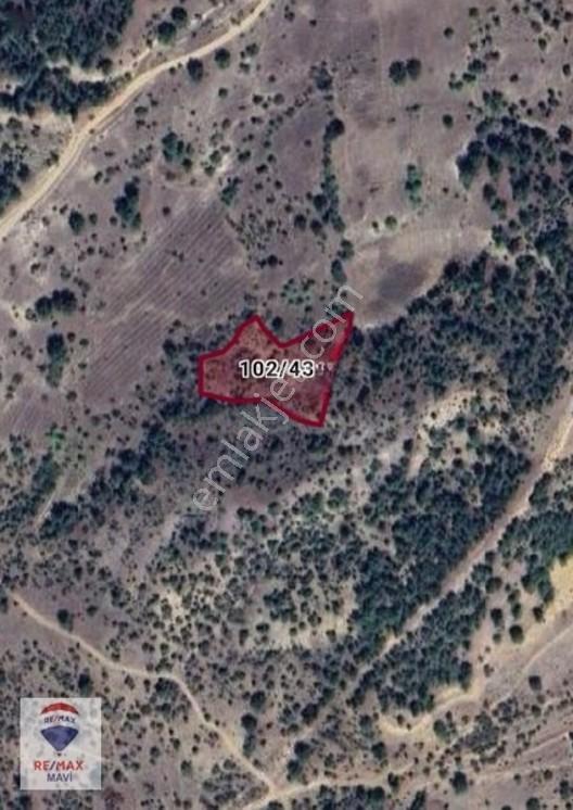 Remax Mavi Bilecik Söğüt Tuzaklı Da 3132 M2 Satılık Tarla — fotoğraf 2