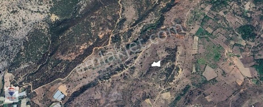 Remax Mavi Bilecik Söğüt Tuzaklı Da 3132 M2 Satılık Tarla — fotoğraf 4