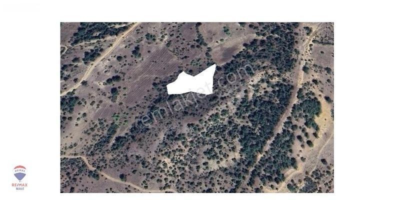 Remax Mavi Bilecik Söğüt Tuzaklı Da 3132 M2 Satılık Tarla — fotoğraf 5