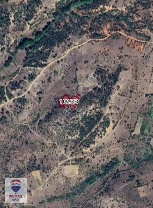 Remax Mavi Bilecik Söğüt Tuzaklı Da 3132 M2 Satılık Tarla — fotoğraf 7